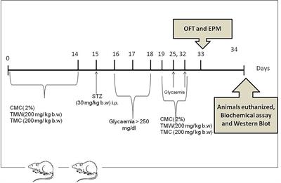 Targeting Oxidative Stress Reduction and Inhibition of HDAC1, MECP2, and NF-kB Pathways in Rats With Experimentally Induced Hyperglycemia by Administration of Thymus marshallianus Willd. Extracts